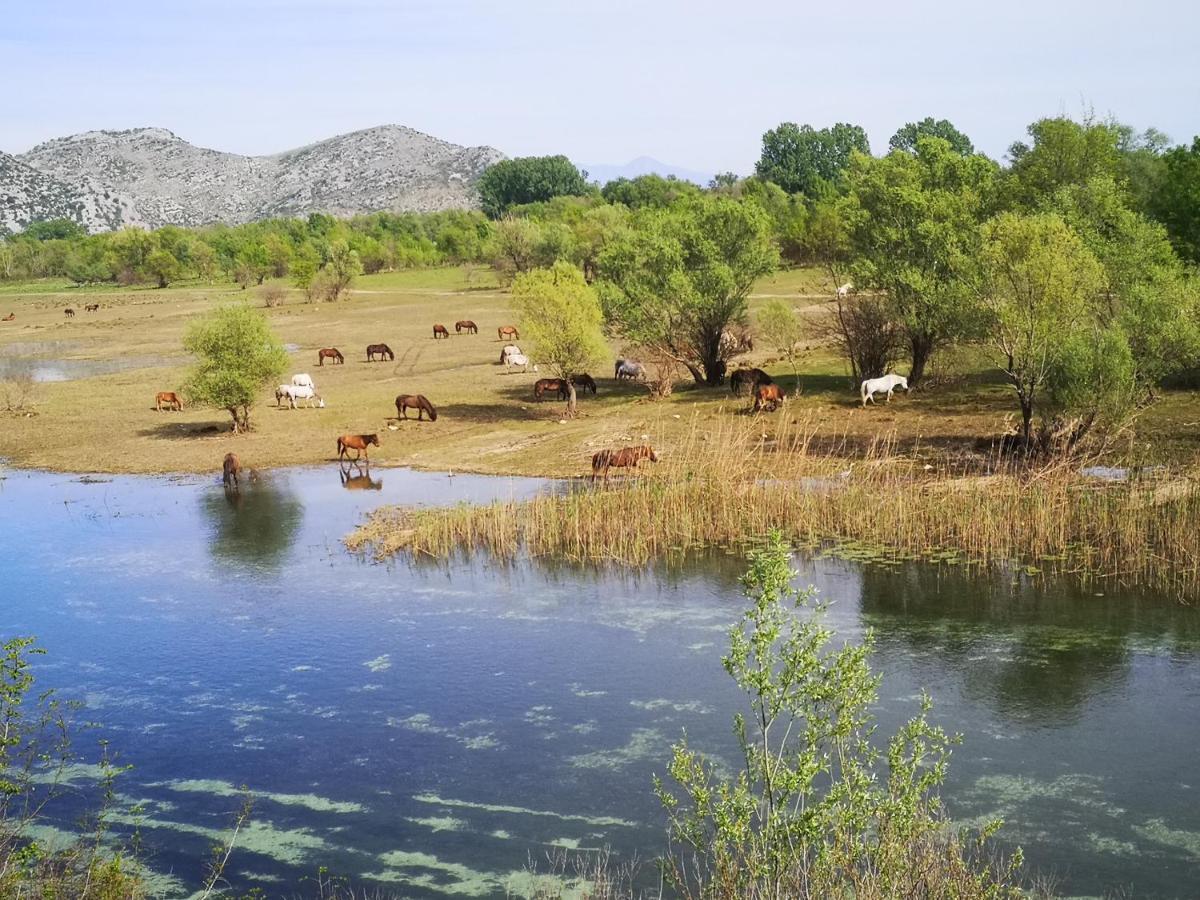 Wild Beauty House Skadar Lake Cetinje Luaran gambar